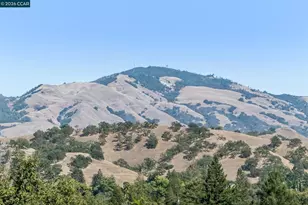 220 Grover Ln, Walnut Creek, CA 94596 - Photo 37