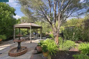 1133 Chanterella Dr, San Ramon, CA 94582 - Photo 39