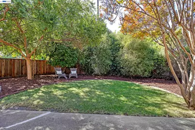 319 Elvira, Livermore, CA 94550 - Photo 29