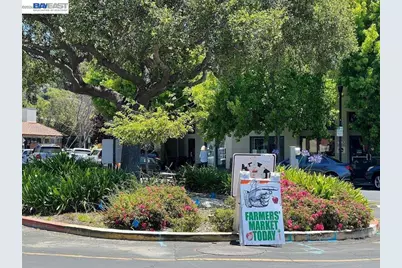 415 Berkeley Park Blvd, Kensington, CA 94706 - Photo 39
