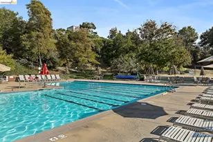 25 Captains Cove, Oakland, CA 94618 - Photo 45