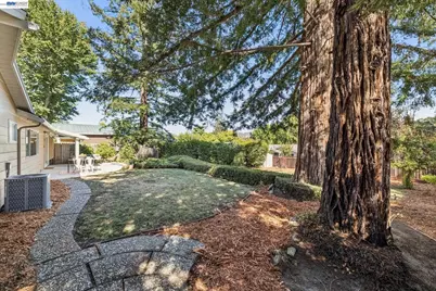 3410 St Marys Rd, Lafayette, CA 94549 - Photo 43