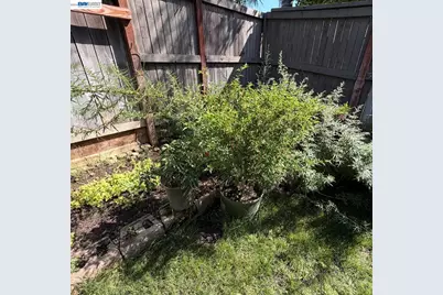 9609 Flame Tokay Way, Elk Grove, CA 95624 - Photo 19