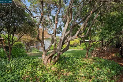 130 Greenway Dr, Walnut Creek, CA 94596 - Photo 45