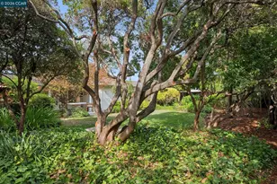 130 Greenway Dr, Walnut Creek, CA 94596 - Photo 45