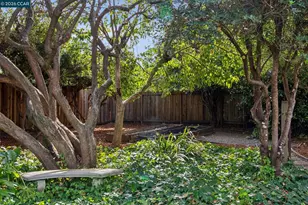 130 Greenway Dr, Walnut Creek, CA 94596 - Photo 43