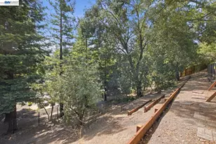 2451 Palmira Pl, San Ramon, CA 94583 - Photo 47