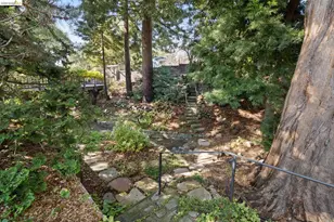 1668 San Lorenzo Ave, Berkeley, CA 94707 - Photo 27