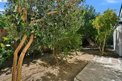 456 Hollywood Ave, Tracy, CA 95376 - Photo 13