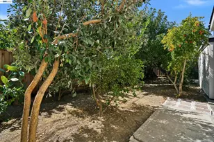 456 Hollywood Ave, Tracy, CA 95376 - Photo 13