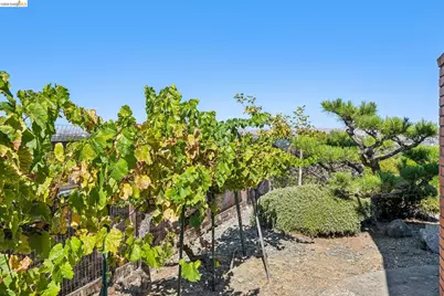 1540 Encanto Place, Walnut Creek, CA 94597 - Photo 45