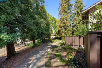 2001 Countrywood Ct, Walnut Creek, CA 94598 - Photo 41