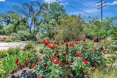 490 Civic Dr #101, Walnut Creek, CA 94596 - Photo 21