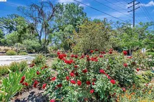490 Civic Dr, Walnut Creek, CA 94596 - Photo 21