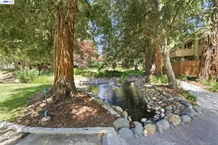20720 4th St, Saratoga, CA 95070 - Photo 41
