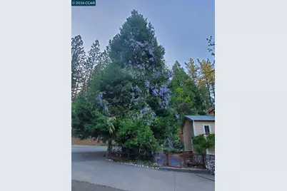 33800 Alta Bonnynook Rd, Alta, CA 95701 - Photo 23