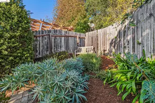 42 Cowper Ave, Kensington, CA 94707 - Photo 55