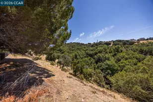 200 Oriole Ct, Hercules, CA 94547 - Photo 19