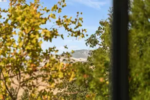 80 Leeds Ct E, Danville, CA 94526 - Photo 31