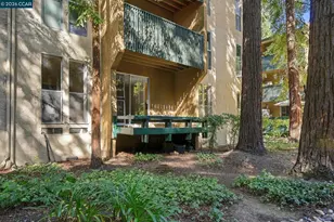 155 Sharene Ln, Walnut Creek, CA 94596 - Photo 17