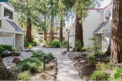 190 Cleaveland Rd #7, Pleasant Hill, CA 94523 - Photo 49