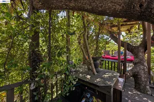 1339 Bay St, Alameda, CA 94501 - Photo 35