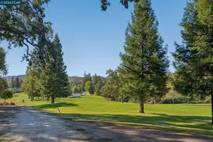 1332 Singingwood Ct, Walnut Creek, CA 94595 - Photo 71