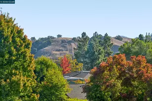 1332 Singingwood Ct, Walnut Creek, CA 94595 - Photo 35