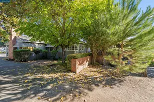 51 Bradley Ave, Walnut Creek, CA 94596 - Photo 53