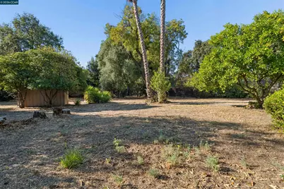 51 Bradley Ave, Walnut Creek, CA 94596 - Photo 49