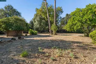 51 Bradley Ave, Walnut Creek, CA 94596 - Photo 49