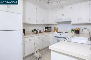 1116 Running Springs Rd, Walnut Creek, CA 94595 - Photo 11
