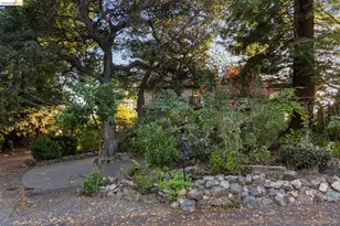 84 Norwood Ave, Kensington, CA 94707 - Photo 75