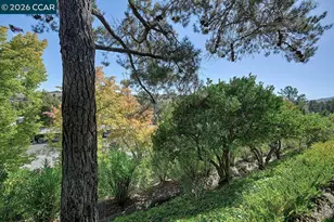 1300 Running Springs Rd, Walnut Creek, CA 94595 - Photo 17