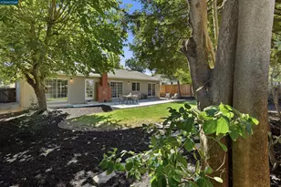 29 Haven Pl, San Ramon, CA 94583 - Photo 23