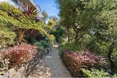 2877 Buena Vista Way, Berkeley, CA 94708 - Photo 43