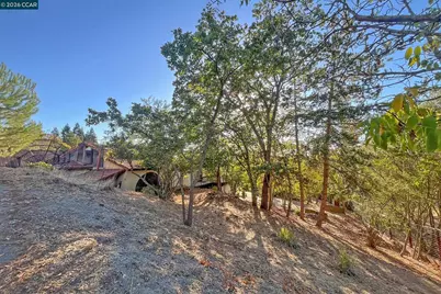 337 Livorna Heights Rd, Alamo, CA 94507 - Photo 39