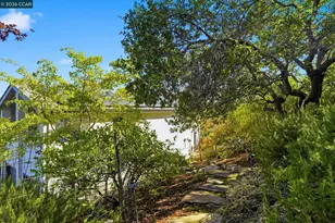 20 Surmont Ct, Lafayette, CA 94549 - Photo 85