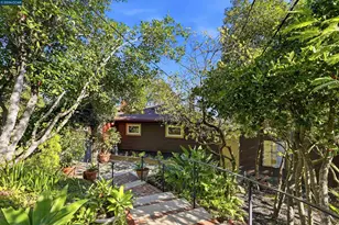 168 Crestview Dr, Orinda, CA 94563 - Photo 49