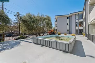 567 Oakland Ave, Oakland, CA 94611 - Photo 19
