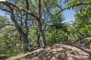 2380 Leimert Blvd, Oakland, CA 94602 - Photo 63