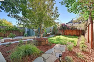6417 Hillegass Ave, Oakland, CA 94618 - Photo 37