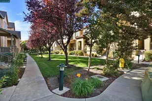 2524 Rockhampton Rd, San Ramon, CA 94582 - Photo 43