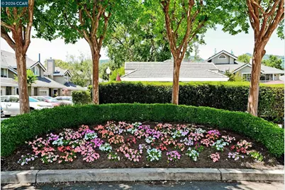 14 Danville Oak Pl, Danville, CA 94626 - Photo 37