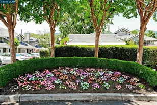 14 Danville Oak Pl, Danville, CA 94526 - Photo 37