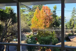 2864 Shasta Rd, Berkeley, CA 94708 - Photo 11