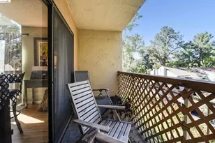 490 Civic Dr, Walnut Creek, CA 94596 - Photo 15
