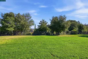 2655 Marsh Dr, San Ramon, CA 94583 - Photo 37