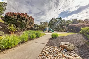 23009 Canyon Terrace Dr, Castro Valley, CA 94552 - Photo 49