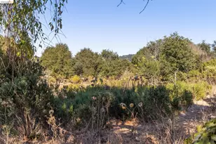 4685 Upland Dr, Richmond, CA 94803 - Photo 51